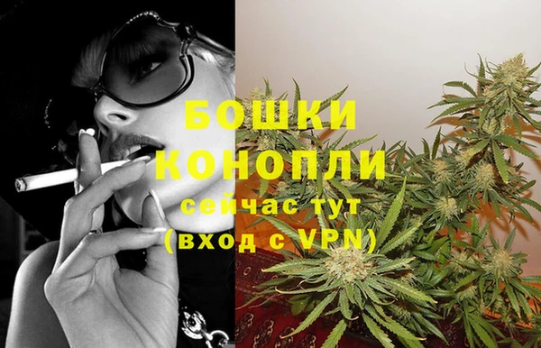 гидра Балахна