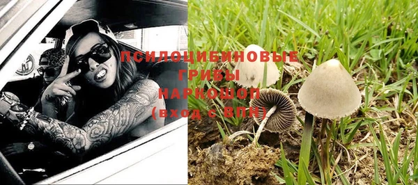 а пвп мука Баксан