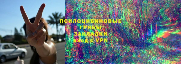 гидра Балахна